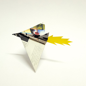 Festival Le temps des envolées