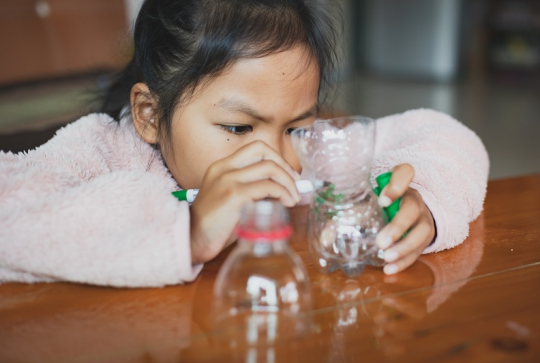 Couronne en plastique