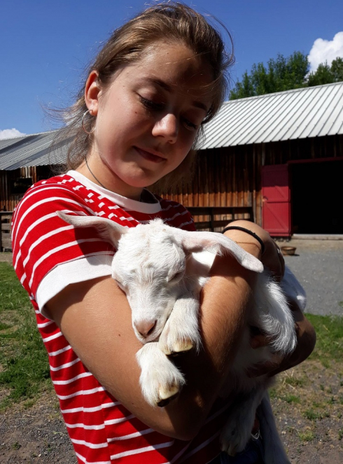 Chèvrerie des Monts Dore