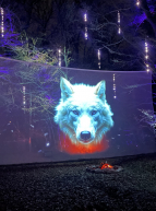 Parc animalier de Sainte-Croix