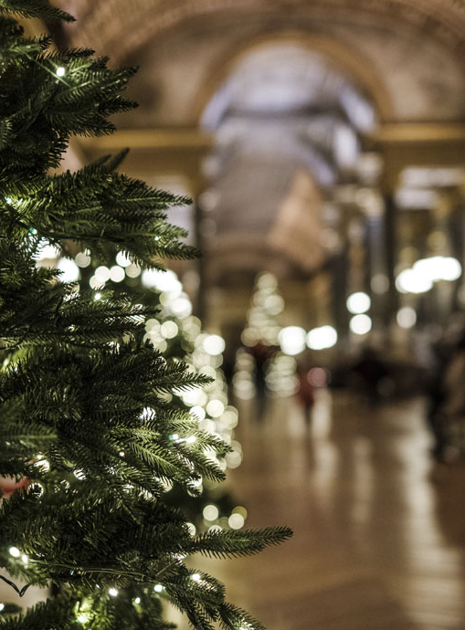 Le Parcours du Roi : sapin