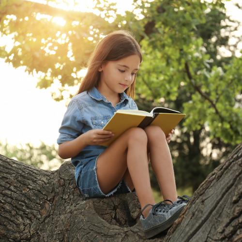 Partir en livre Strasbourg