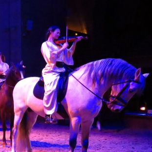 Nuit musicale de chantilly