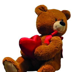 Noël au Museum de Toulouse