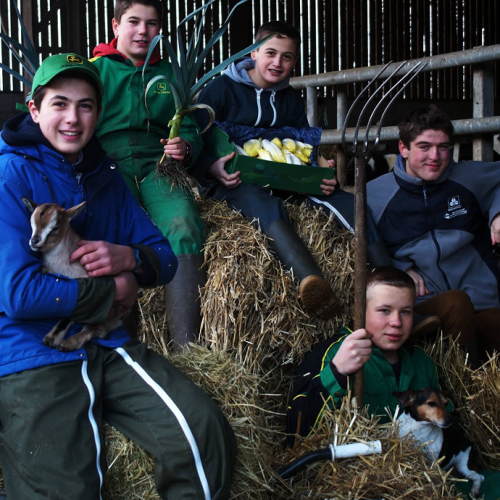 La Ferme des beaux mecs : Des jeunes garçons dans la paille avec des animaux et des légumes de saison