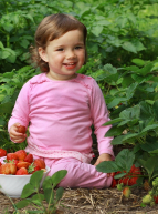 Fête des fraises et du terroir à Carros : une petite fille dans un champ de fraises