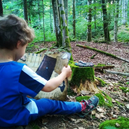 La forêt des Arboris : activité enfants