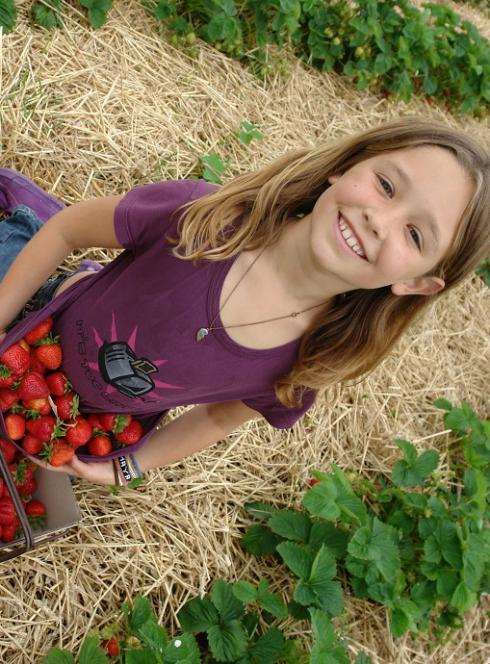 Top des cueillettes : Une petite fille récolte des fraises