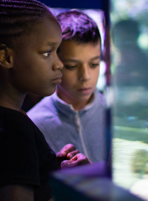 Vacances d'été 2024 au Musée océanographique : Deux enfants observent un aquarium
