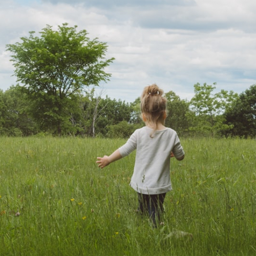 Les fermes du Val de Marque en fête 2019