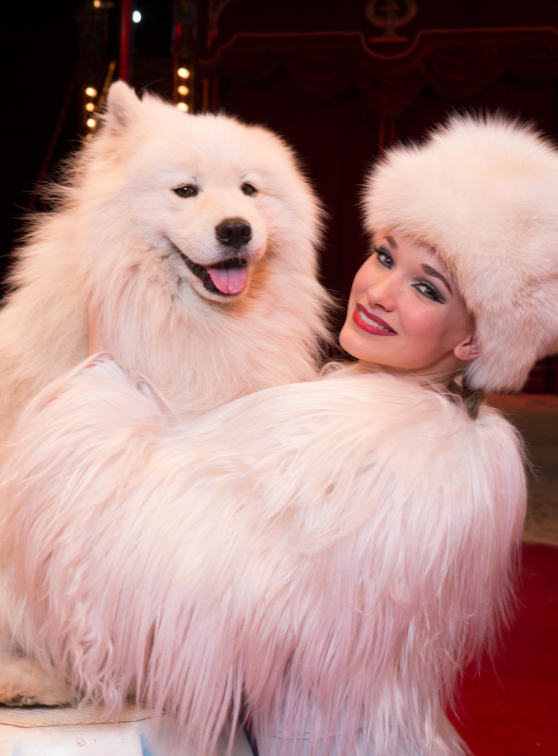 Les légendes du cirque - Cirque Holiday : les animaux