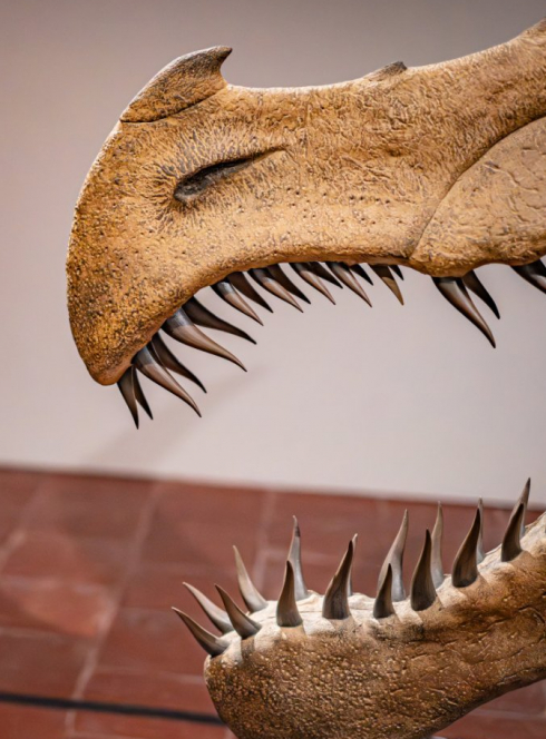 Anatomie comparée des espèces imaginaires