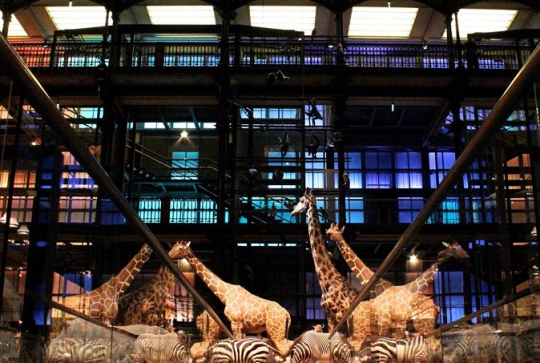 MNHN ©Stéphane Jounot