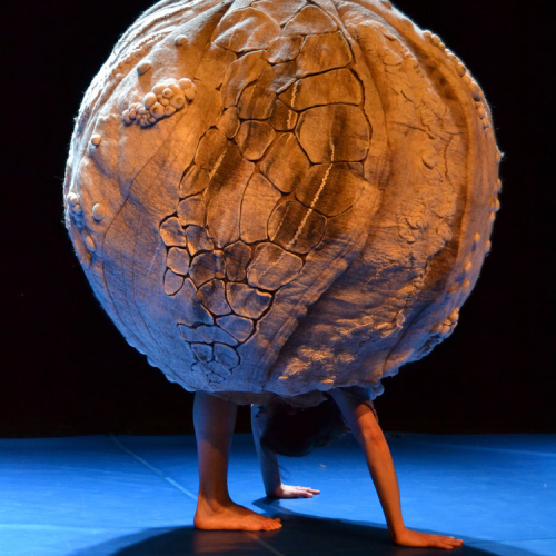 Chiffonnade - Cie Carré Blanc