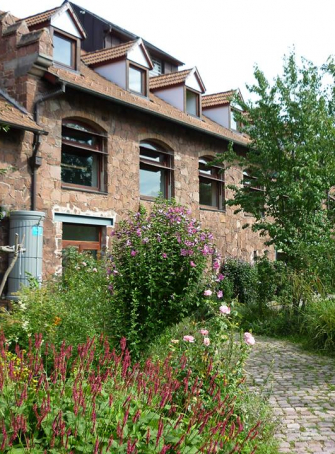 La nature en pleine ville