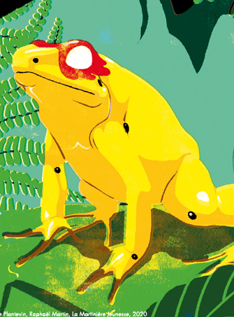 Livre Animaux super-héros