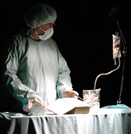 Le Véto Libraire - Cie Les Chercheurs d’Art associés