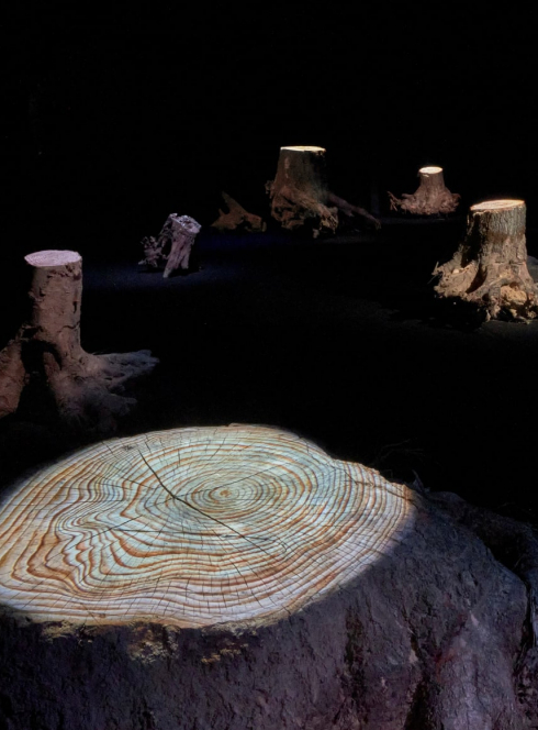 La Clairière envisagée