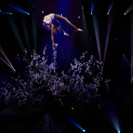 Gaïa - Cirque Phénix