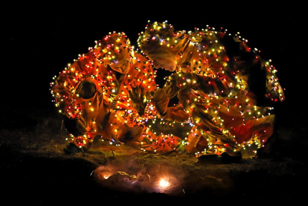 Spectacle multimédia "Lux Populi" Pont du Gard