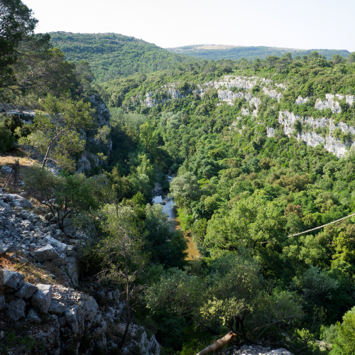 Parc Les Rives du Loup