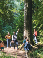 Couverture Festival de l'Arbre et des Chemins ruraux