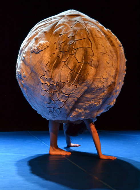 Chiffonnade - Cie Carré Blanc