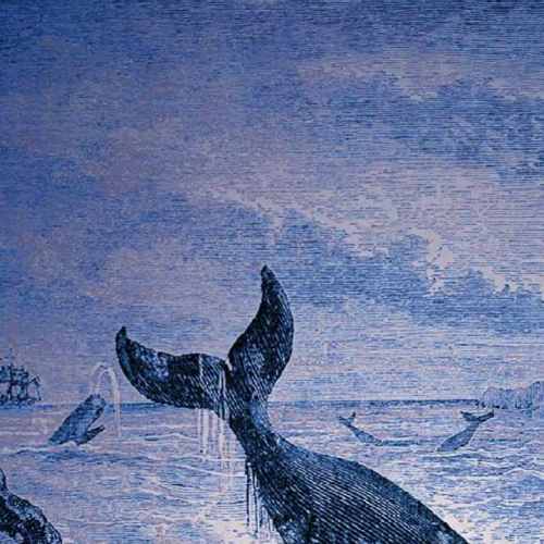 20 000 lieues sous les mers