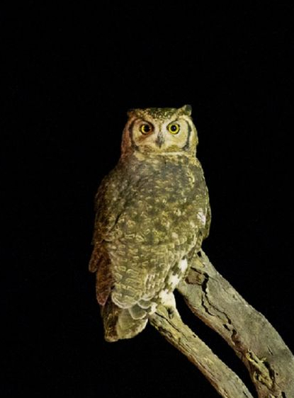 Balade crépuscule : le puy de l'Enfer et la Narse d'Espinasse