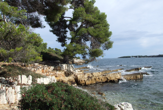 Île Sainte-Marguerite