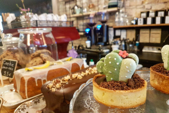 Anahera, oasis urbaine à Lyon