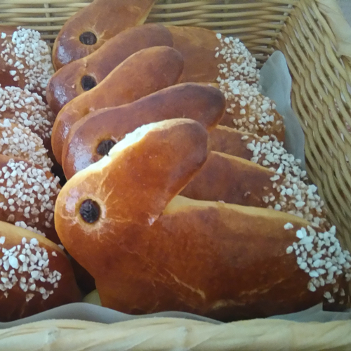 Atelier de printemps