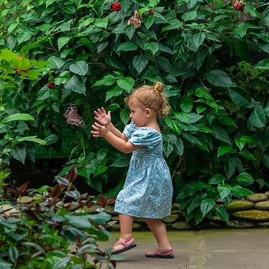 Rendez-vous aux Jardins 2024 à Lyon