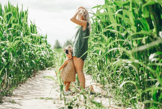 Pop Corn Labyrinthe Bordeaux/Cestas
