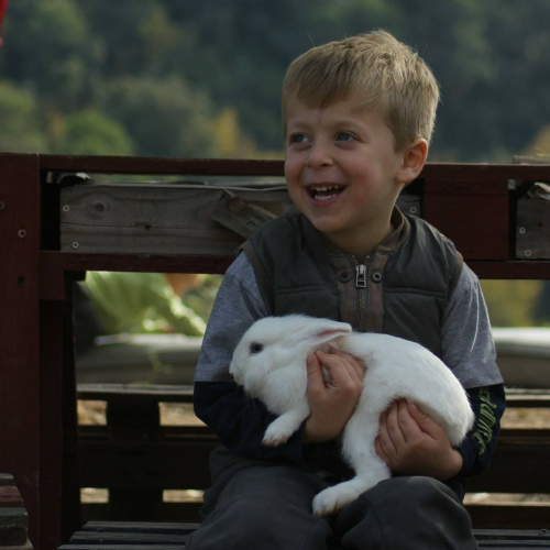 Les Jardins Partagés de Terra Segurana : enfant avec un lapin