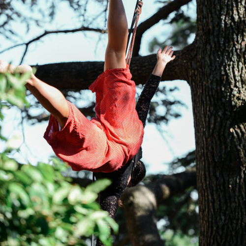 Festival Dans Les Arbres 2023 - "Feuillage, Performance Arborée"