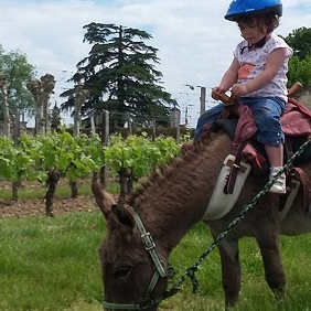La Ferme à Roulettes - Balade à poney enfant