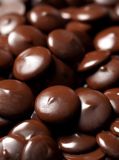 Atelier de l'été pour enfants au musée du chocolat