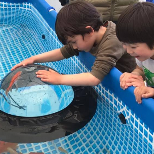 Enfants et poissons à la Maison de la Pêche et de la Nature