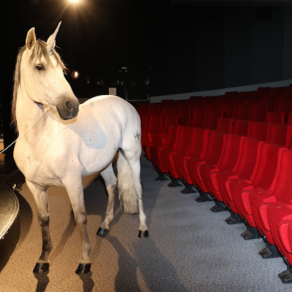 Théâtre de la licorne
