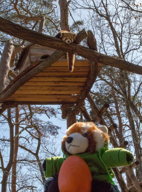 Pâques au Parc animalier d'Auvergne