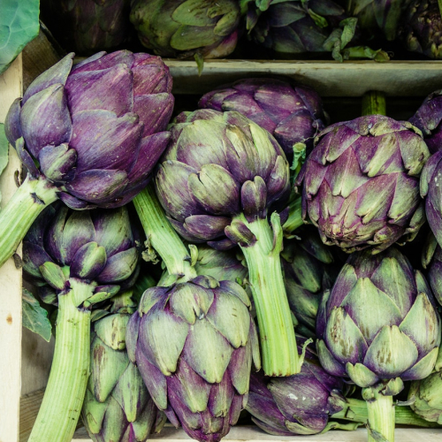 Festival Kastell Paol - Fête de l'artichaut