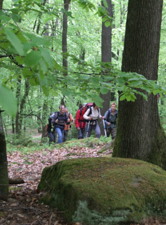 Randonnées pour enfants avec P'tits loups des bois