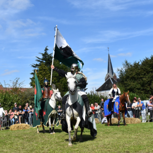 Med'Aventure - Spectacle équestre