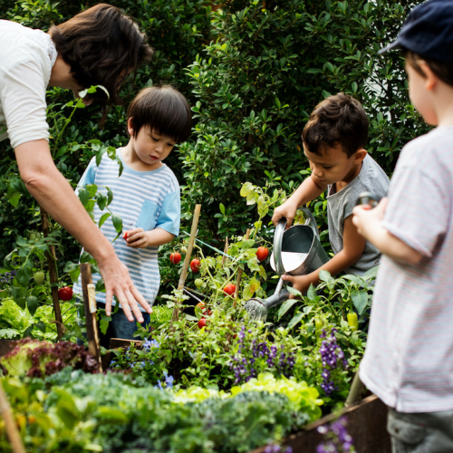 Lille aux Jardins : atelier enfants