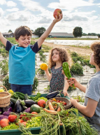 Journées Nationales de l'Agriculture : Découvrir les légumes en famille