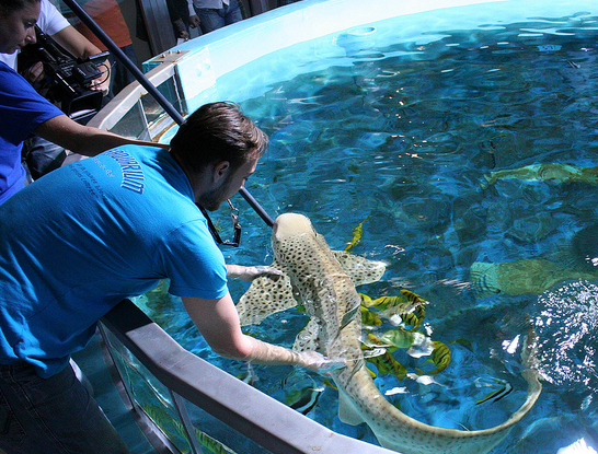 Seaquarium du Grau-Du-Roi