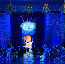 La Belle au Bois Dormant (Acte III)