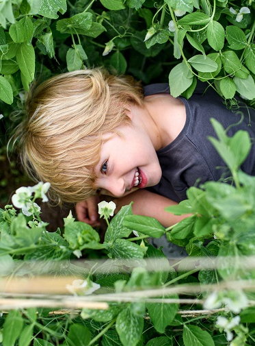 Rendez-vous aux jardins 2024 à Clermont-Ferrand