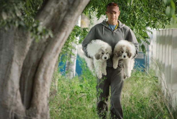 Tout est possible (The biggest little farm) - Chiots dans les bras